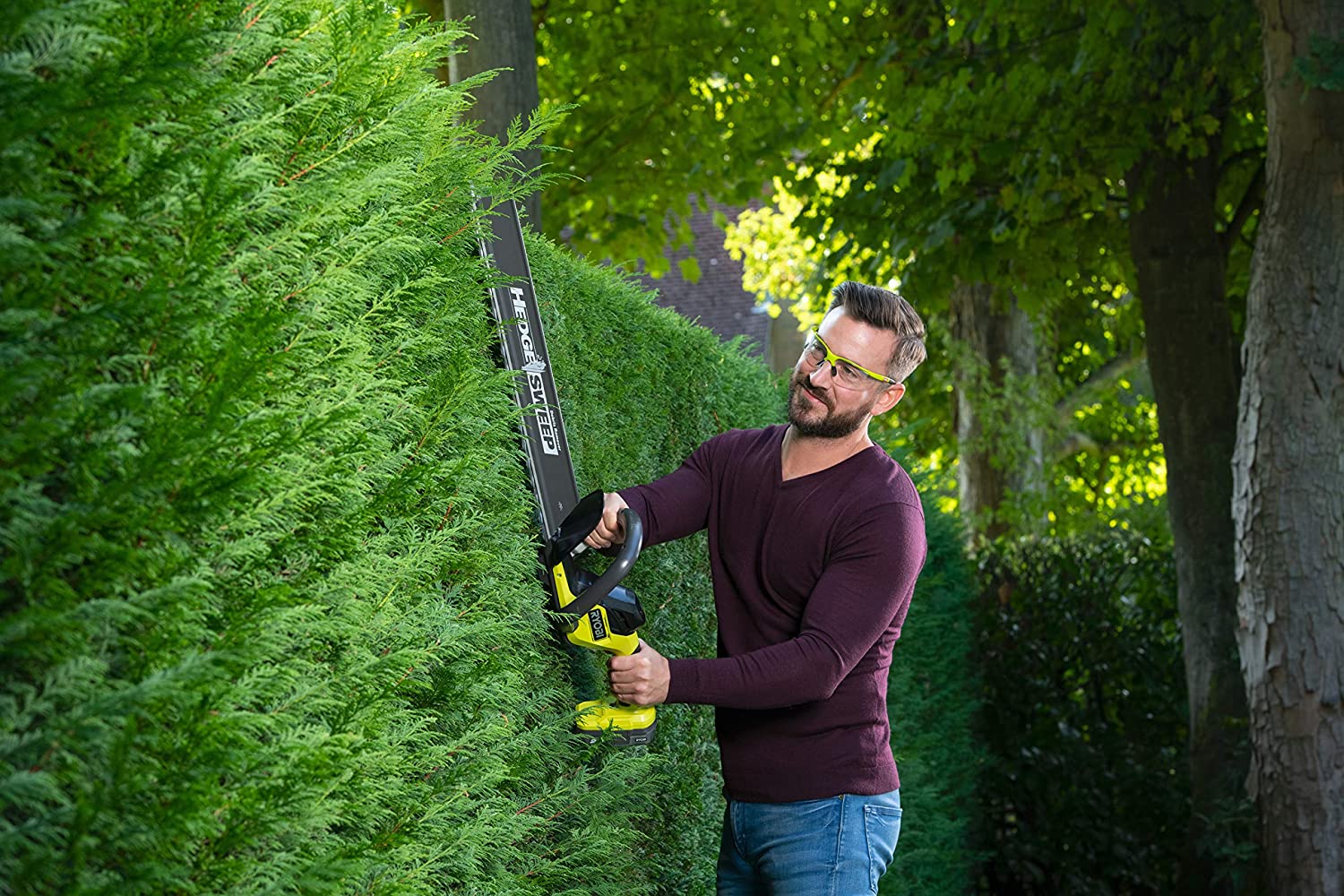 Best Cordless hedge trimmers 2023