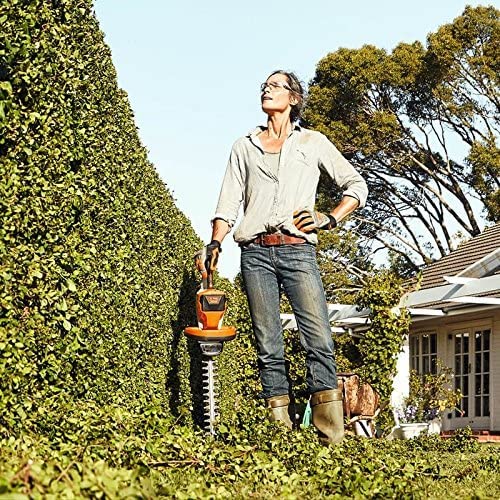 STIHL HSA 56 cordless hedge trimmer Review : 2023